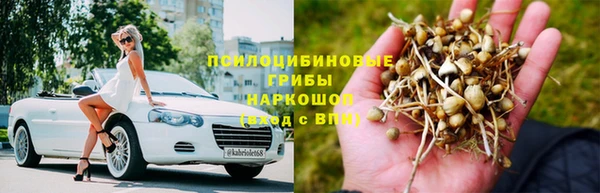 мескалин Ельня
