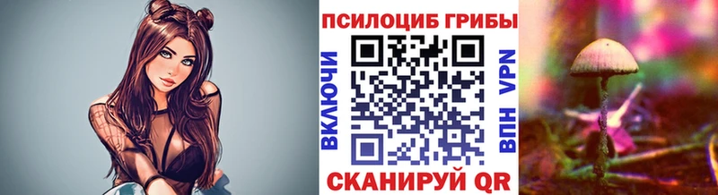 Купить закладки  Корсаков  Псилоцибиновые грибы Cubensis 
